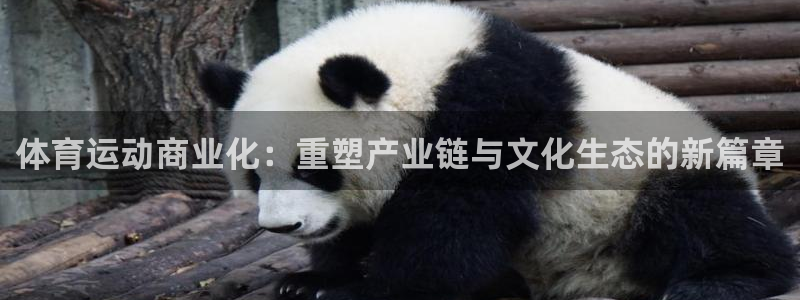 米兰体育中心：体育运动商业化：重塑产业链与文化生态的新篇章
