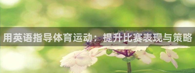 米兰体育网页版