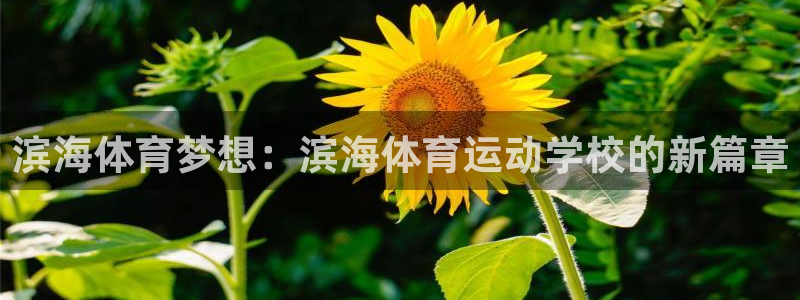 米兰体育平台