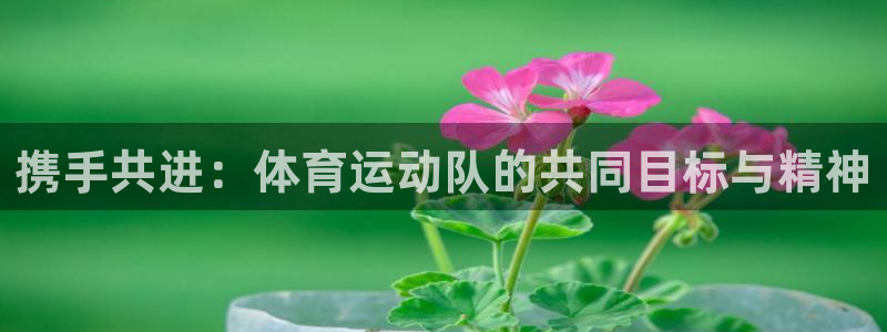 米兰体育官方下载入口