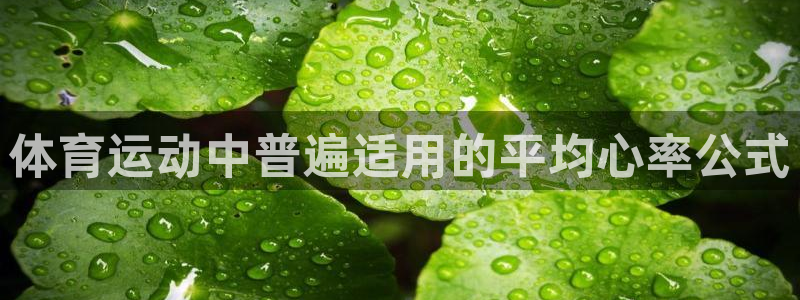米兰体育网址