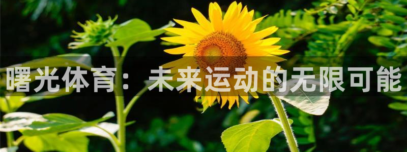 米兰体育网址