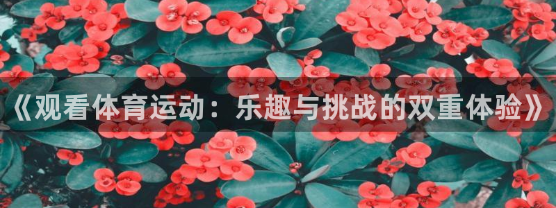 米兰体育综合官网