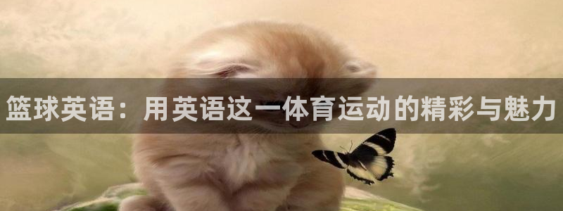 米兰体育场
