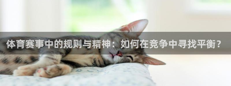 米兰体育中心