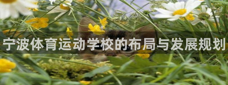 米兰体育综合官网