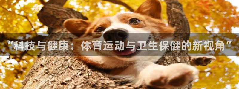米兰体育官网