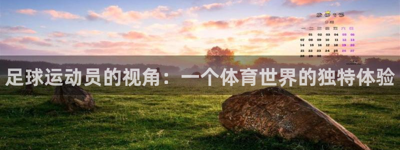 米兰体育在线