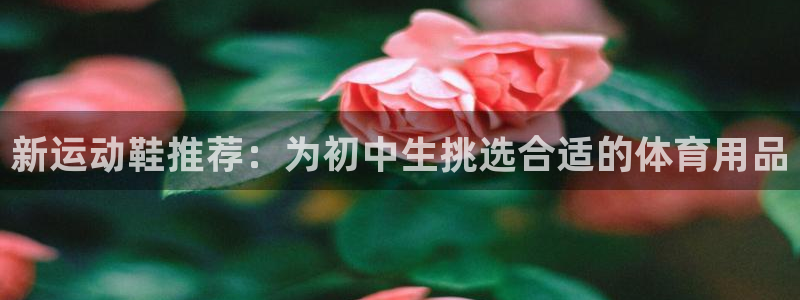 米兰体育网页版