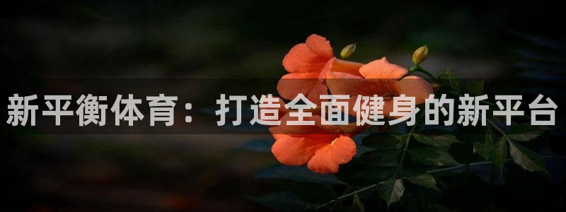 米兰体育最新版下载