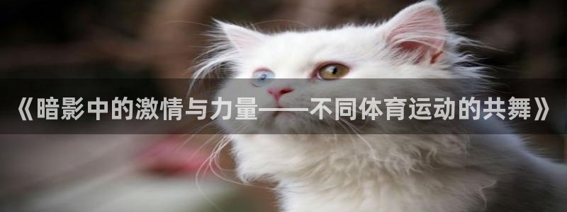 米兰体育官网