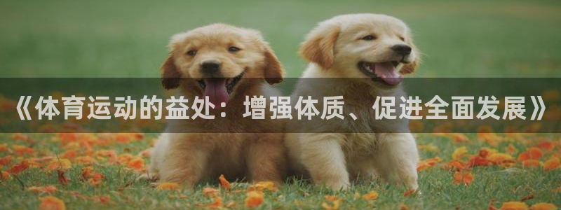 米兰体育最新版下载