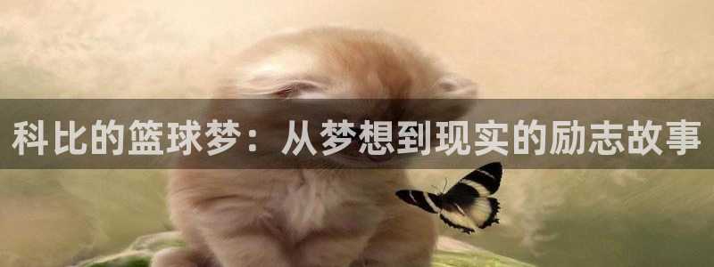 米兰体育登录