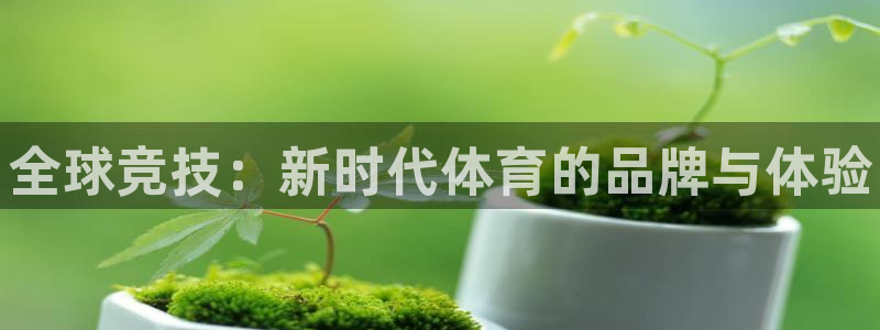 米兰体育.：全球竞技：新时代体育的品牌与体验