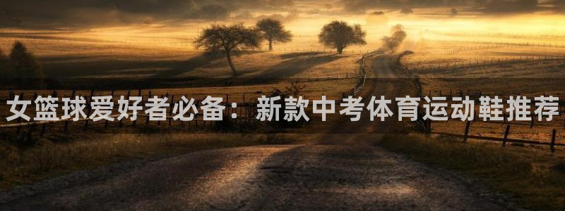 米兰体育app下载：女篮球爱好者必备：新款中考体育运动鞋推荐