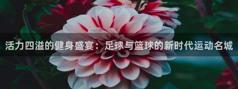米兰体育平台：活力四溢的健身盛宴：足球与篮球的新时代运动名城
